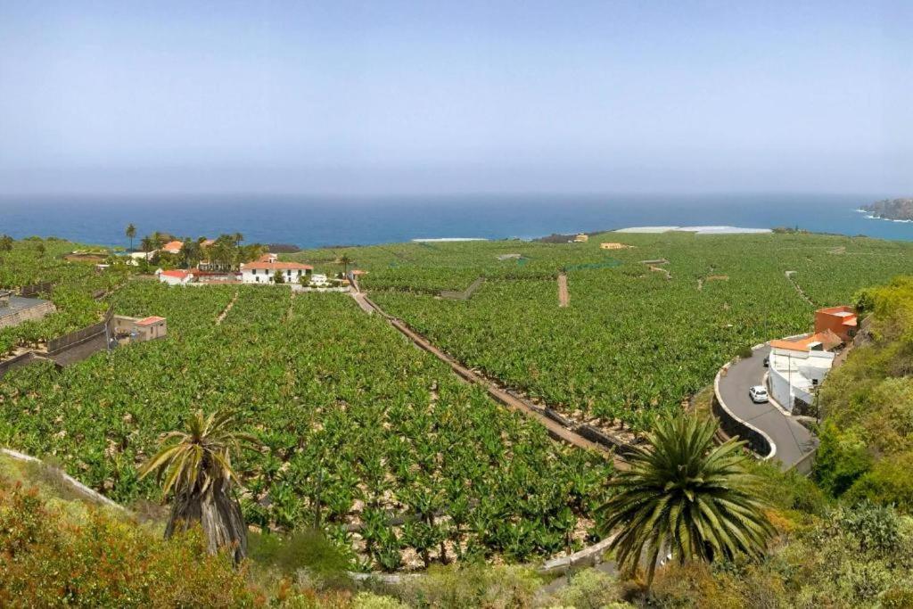Casa Canaria Acero Garachico  Εξωτερικό φωτογραφία